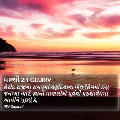 માથ્થી 2:1 GUJIRV Bible Verse Image