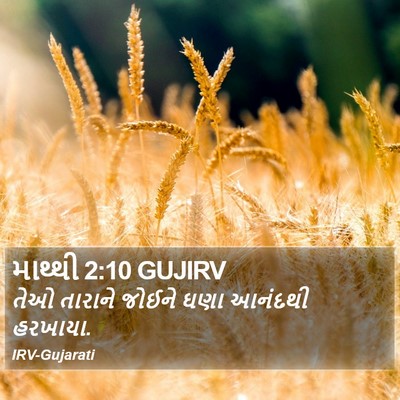 માથ્થી 2:10 GUJIRV Bible Verse Image