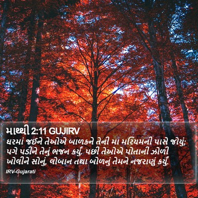માથ્થી 2:11 GUJIRV Bible Verse Image