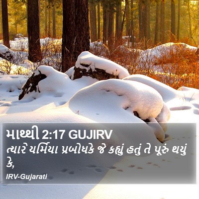 માથ્થી 2:17 GUJIRV Bible Verse Image