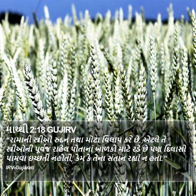 માથ્થી 2:18 GUJIRV Bible Verse Image