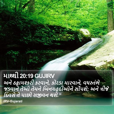 માથ્થી 20:19 GUJIRV Bible Verse Image