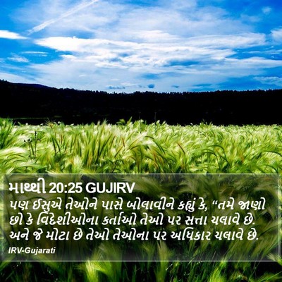 માથ્થી 20:25 GUJIRV Bible Verse Image