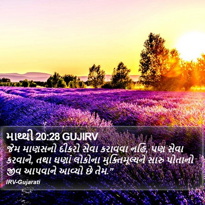 માથ્થી 20:28 GUJIRV Bible Verse Image