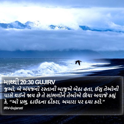 માથ્થી 20:30 GUJIRV Bible Verse Image