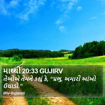 માથ્થી 20:33 GUJIRV Bible Verse Image