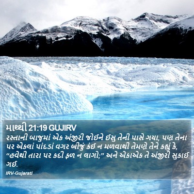 માથ્થી 21:19 GUJIRV Bible Verse Image