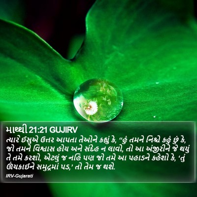 માથ્થી 21:21 GUJIRV Bible Verse Image