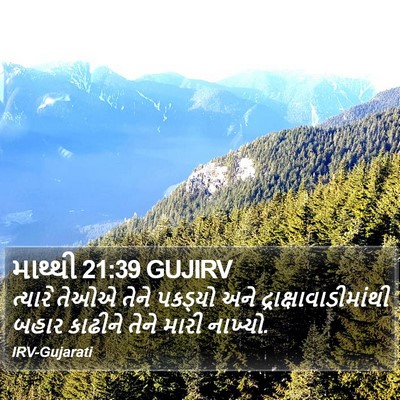 માથ્થી 21:39 GUJIRV Bible Verse Image