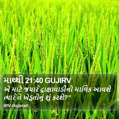 માથ્થી 21:40 GUJIRV Bible Verse Image