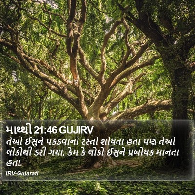 માથ્થી 21:46 GUJIRV Bible Verse Image