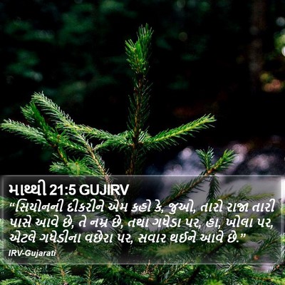 માથ્થી 21:5 GUJIRV Bible Verse Image