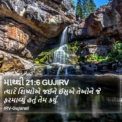 માથ્થી 21:6 GUJIRV Bible Verse Image
