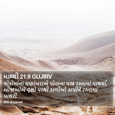 માથ્થી 21:8 GUJIRV Bible Verse Image