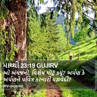 માથ્થી 23:19 GUJIRV Bible Verse Image