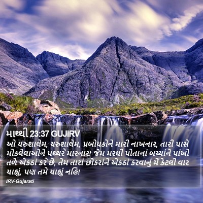 માથ્થી 23:37 GUJIRV Bible Verse Image