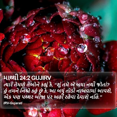 માથ્થી 24:2 GUJIRV Bible Verse Image