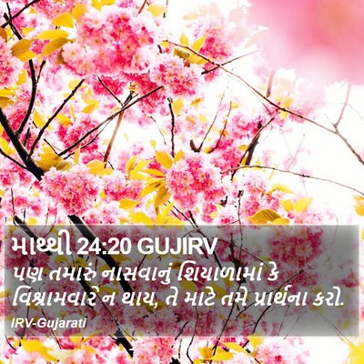 માથ્થી 24:20 GUJIRV Bible Verse Image