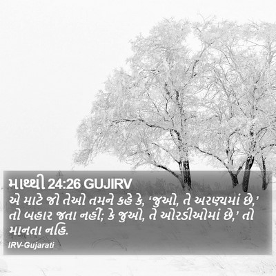 માથ્થી 24:26 GUJIRV Bible Verse Image