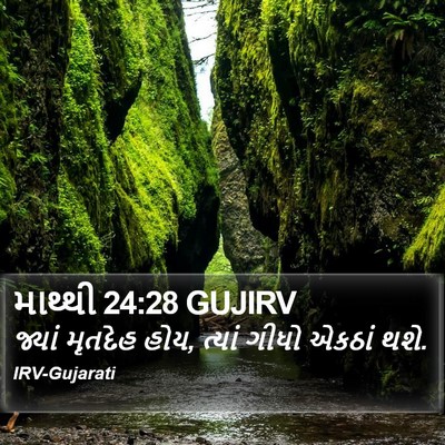 માથ્થી 24:28 GUJIRV Bible Verse Image