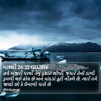 માથ્થી 24:32 GUJIRV Bible Verse Image
