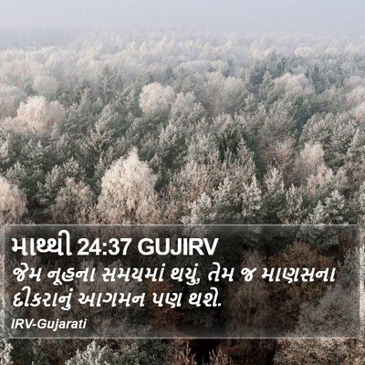 માથ્થી 24:37 GUJIRV Bible Verse Image