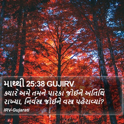 માથ્થી 25:38 GUJIRV Bible Verse Image