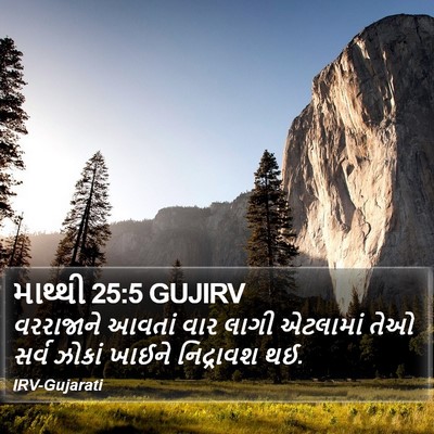 માથ્થી 25:5 GUJIRV Bible Verse Image