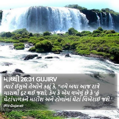 માથ્થી 26:31 GUJIRV Bible Verse Image