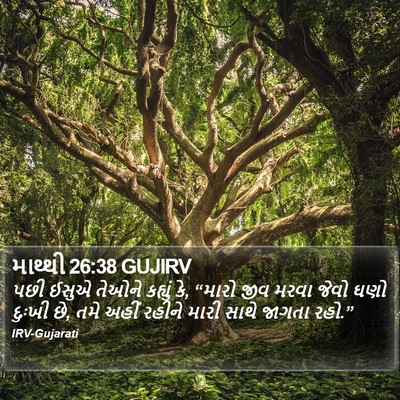 માથ્થી 26:38 GUJIRV Bible Verse Image