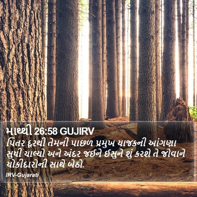 માથ્થી 26:58 GUJIRV Bible Verse Image