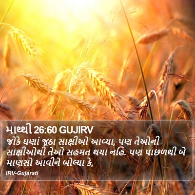 માથ્થી 26:60 GUJIRV Bible Verse Image