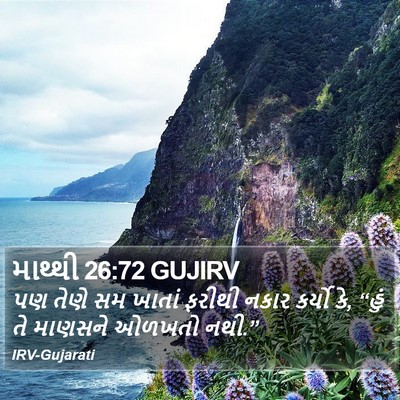 માથ્થી 26:72 GUJIRV Bible Verse Image