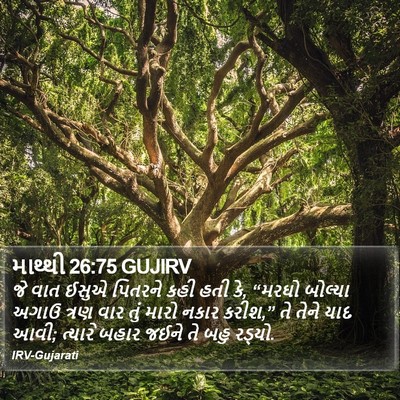 માથ્થી 26:75 GUJIRV Bible Verse Image