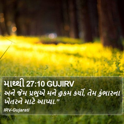 માથ્થી 27:10 GUJIRV Bible Verse Image