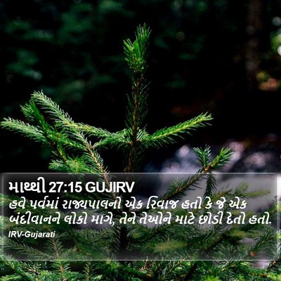 માથ્થી 27:15 GUJIRV Bible Verse Image