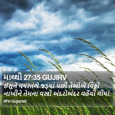 માથ્થી 27:35 GUJIRV Bible Verse Image