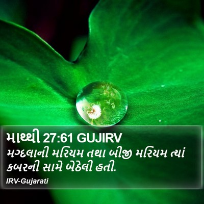 માથ્થી 27:61 GUJIRV Bible Verse Image