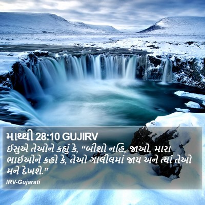 માથ્થી 28:10 GUJIRV Bible Verse Image