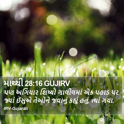 માથ્થી 28:16 GUJIRV Bible Verse Image