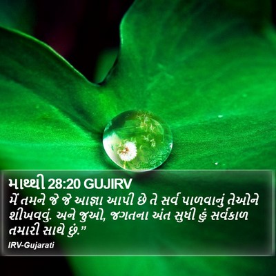 માથ્થી 28:20 GUJIRV Bible Verse Image