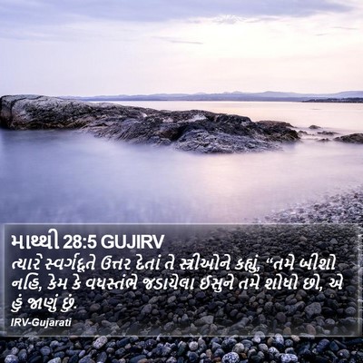 માથ્થી 28:5 GUJIRV Bible Verse Image