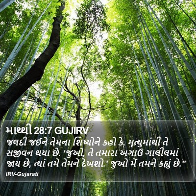 માથ્થી 28:7 GUJIRV Bible Verse Image