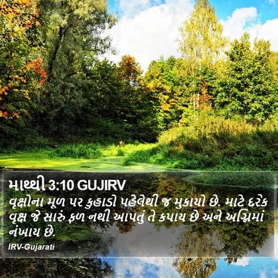 માથ્થી 3:10 GUJIRV Bible Verse Image