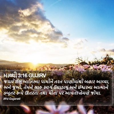 માથ્થી 3:16 GUJIRV Bible Verse Image