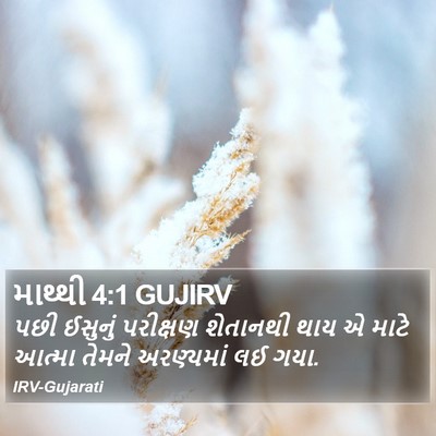 માથ્થી 4:1 GUJIRV Bible Verse Image