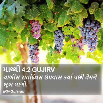 માથ્થી 4:2 GUJIRV Bible Verse Image
