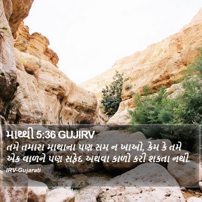માથ્થી 5:36 GUJIRV Bible Verse Image