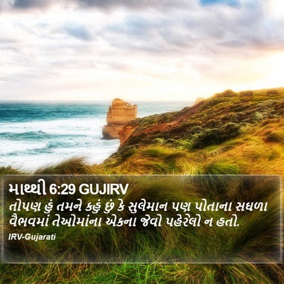 માથ્થી 6:29 GUJIRV Bible Verse Image
