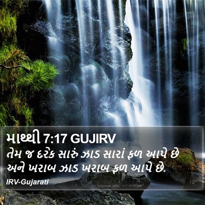 માથ્થી 7:17 GUJIRV Bible Verse Image